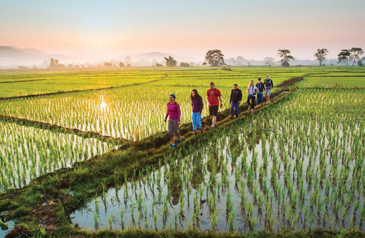 Goya Boutique Resort Ubud Esterno foto Rice fields in Vietnam