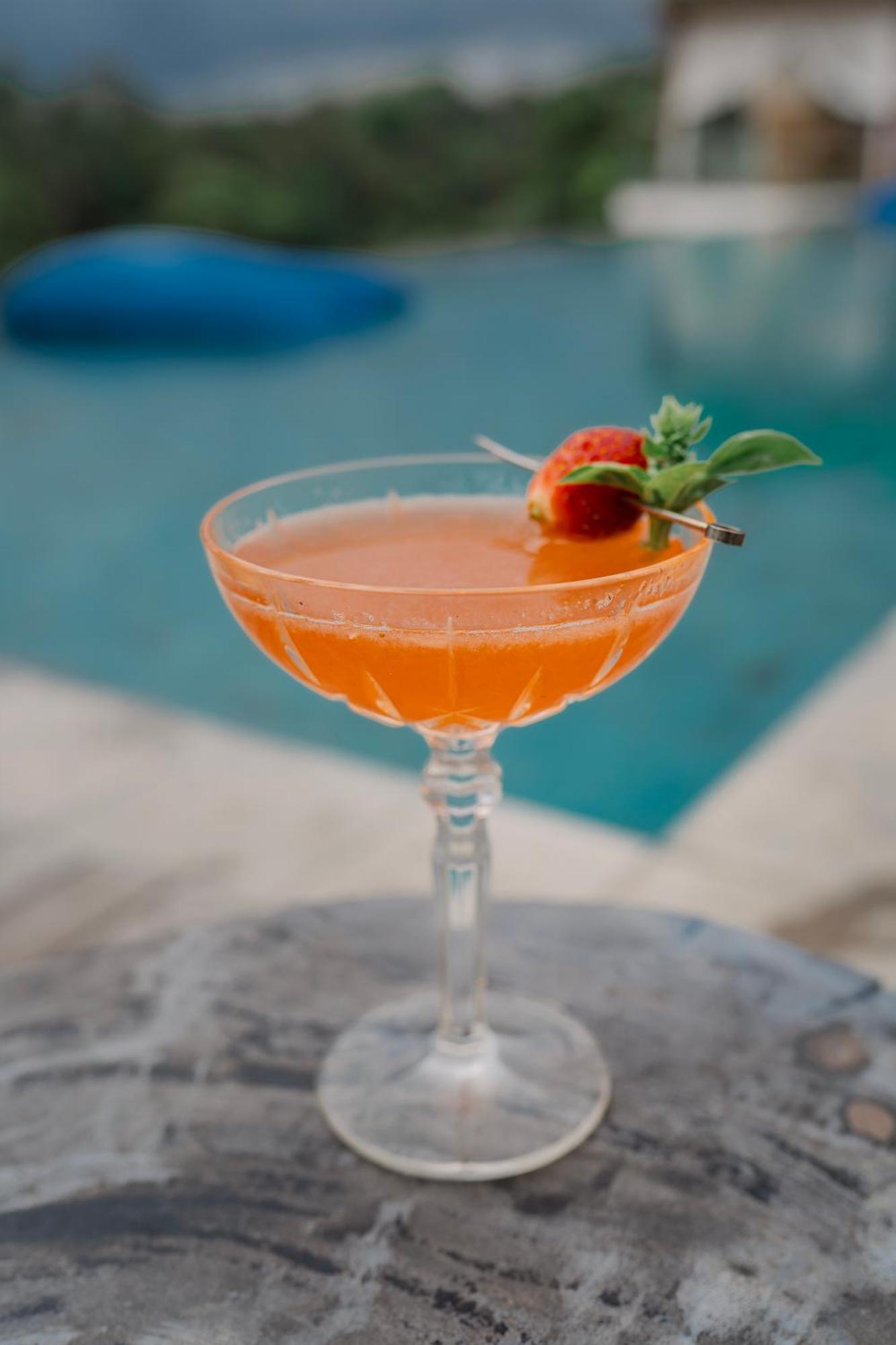 Goya Boutique Resort Ubud Esterno foto A Clover Club cocktail